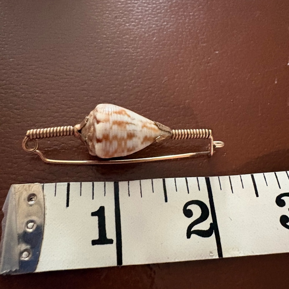 Vintage Shell Broach & Rare shells - Picture 5 of 6
